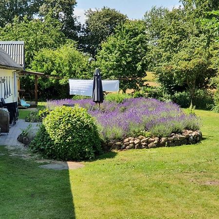 Rolso Retreat Vila Knebel Exterior foto
