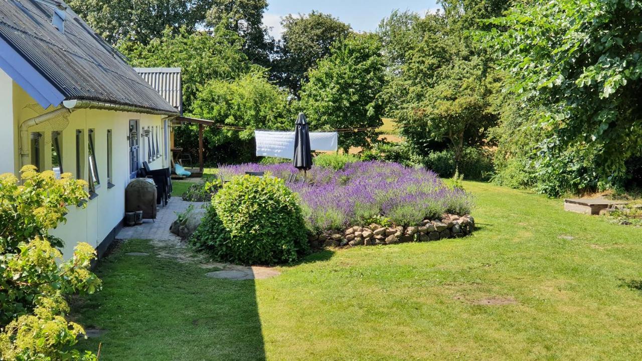 Rolso Retreat Vila Knebel Exterior foto